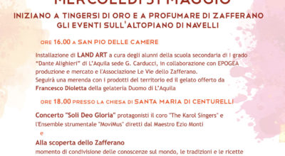 Alla scoperta dello zafferano