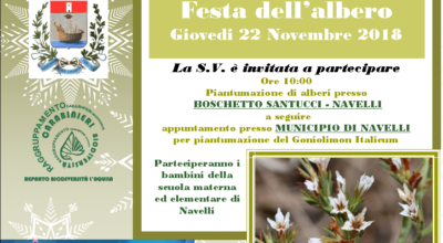 Festa dell’albero – 22 novembre ’18
