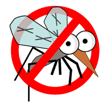 DEMUSCAZIONE 16.08.2019