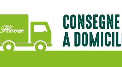 Consegna a domicilio generi alimentari