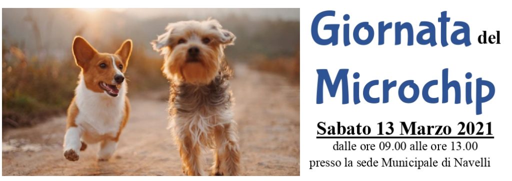 “NAVELLI A 4 ZAMPE”