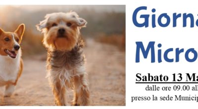 “NAVELLI A 4 ZAMPE”